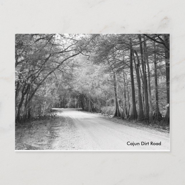 Cajun Dirt Road postcard (Front)
