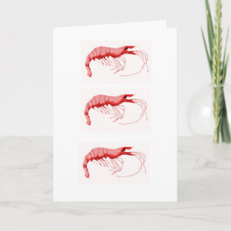 Cajun Shrimp Greetings Card
