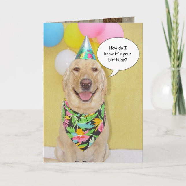 Cake Sniffing Dog Card (Front)