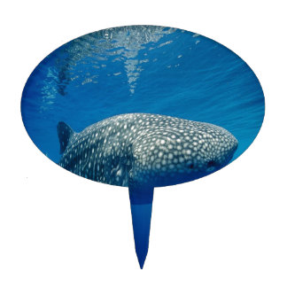 Cake Topper Requin baleine