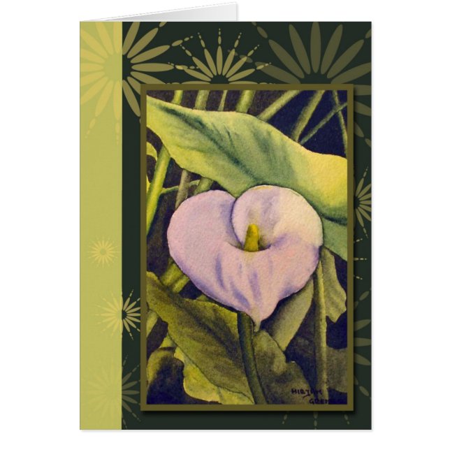 Cala Lilly (Front)