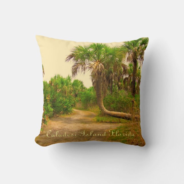 Caladesi Island Dunedin Fl Coussin (Recto)