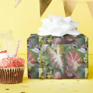 Caladium Garden Gardeners Delight Design Wrapping Paper