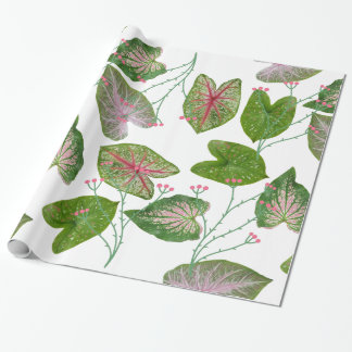 Caladium Pattern for plant lovers Wrapping Paper