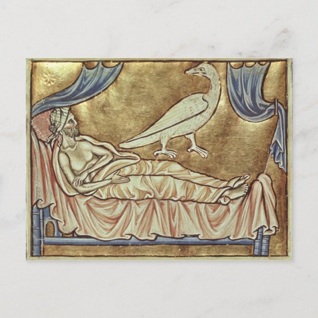 Caladrius bird, reputed to foretell postcard (Front)