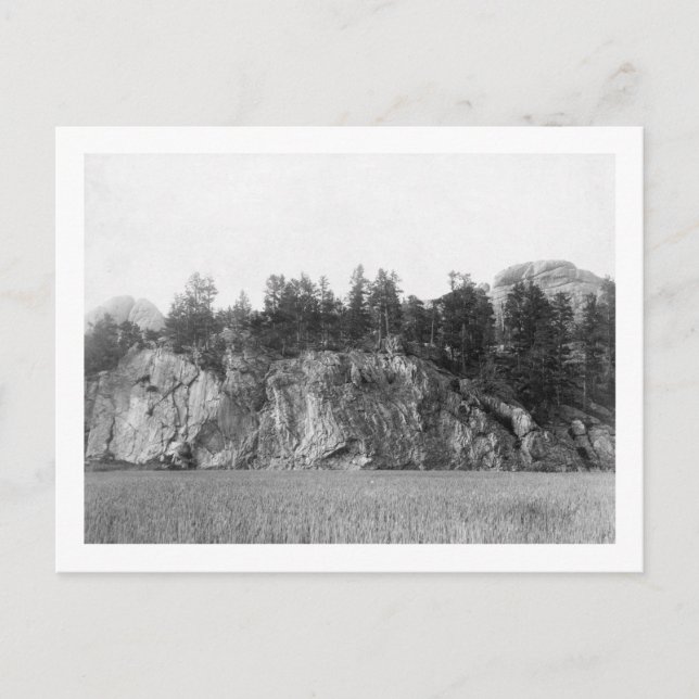 Calamity Peak in the Black Hills Photograph Postcard (Front)
