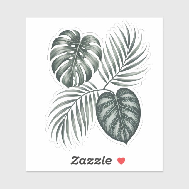 Calathea leaf (Sheet)