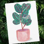 Calathea Prayer Plant Watercolor Postcard<br><div class="desc">Check out this colourful watercolor calathea plant.
 
 Visit my shop for more!</div>