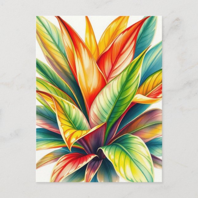 Calathea Prayer  Watercolor  Postcard (Front)