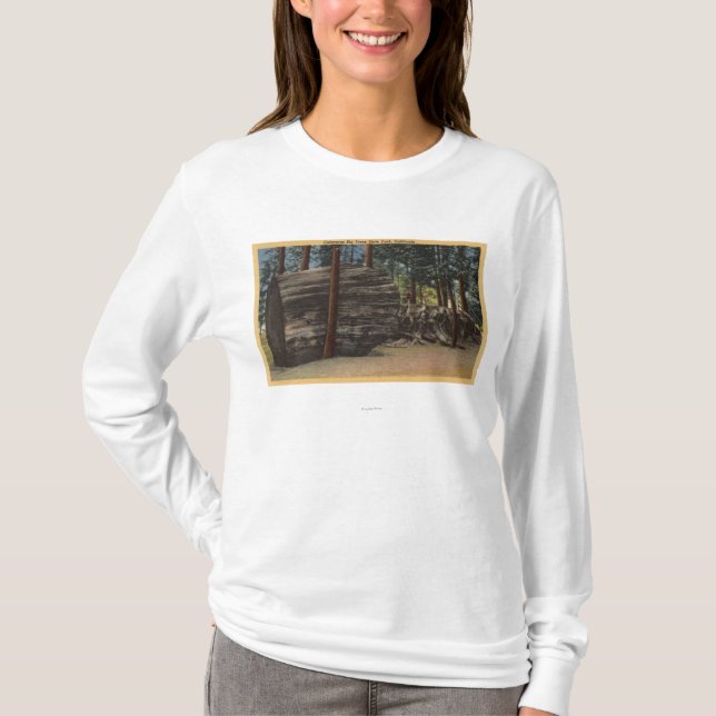 Calaveras Big Trees State Park T-Shirt (Front)