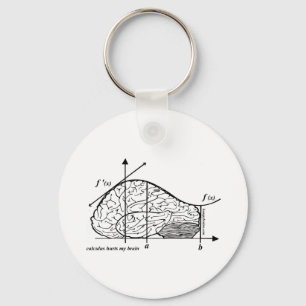 Calculus Hurts my Brain Keychain