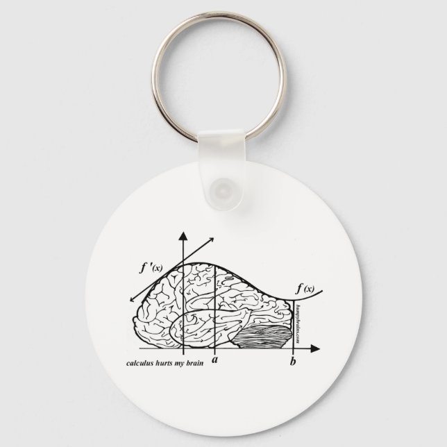 Calculus Hurts my Brain Keychain (Front)