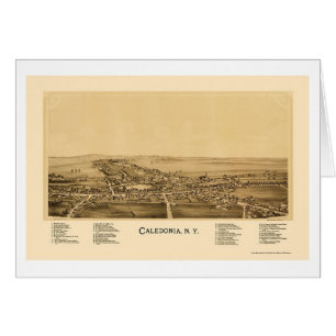 Caledonia, carte panoramique de NY - 1892