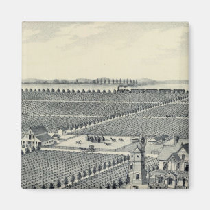 Caledonia Vineyard County, Fresno Magnet