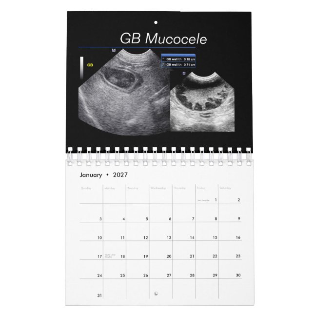 Calendar (Jan 2027)