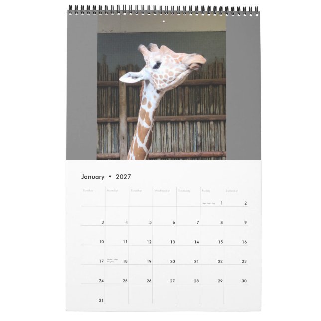 Calendar (Jan 2027)