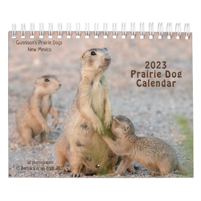 CALENDAR (Cover)