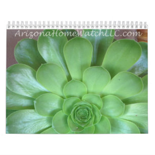 Calendar 2015 Arizona Home Watch LLC Desert Photo
