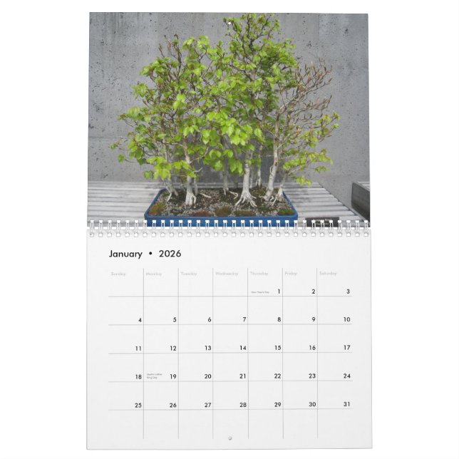 Calendar 2015 with Bonsai (Jan 2026)