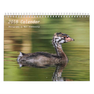 Calendar - 2018 - Medium b