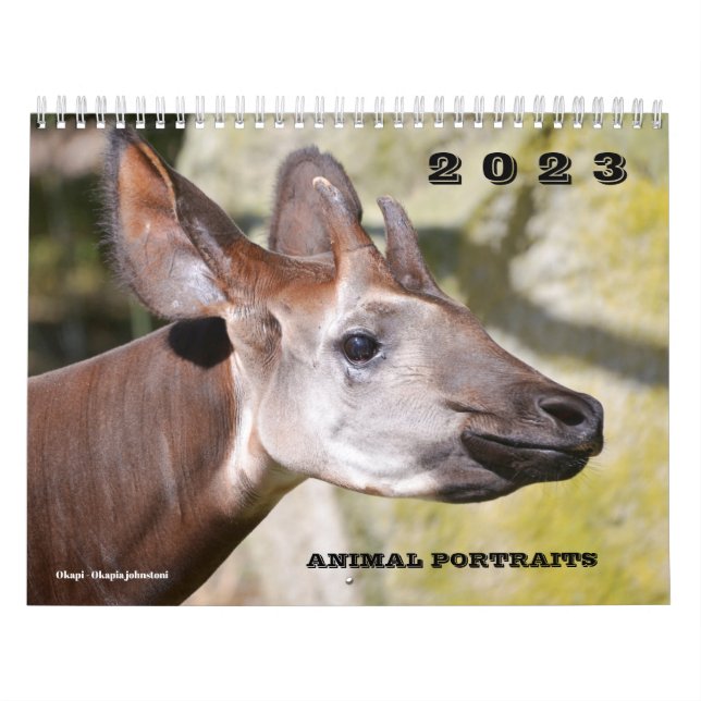 Calendar 2023 animal portraits (Cover)