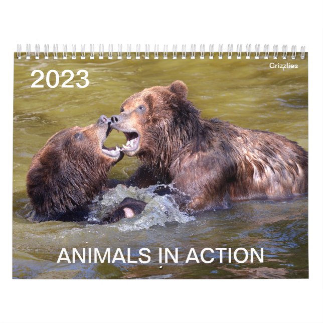Calendar 2023 of animals in action (Cover)