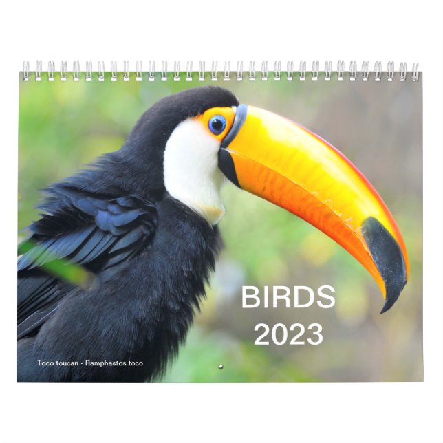 Calendar 2023 of various birds (Cover)