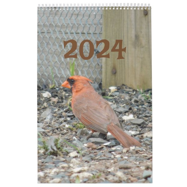 Calendar 2024 Backyard Birds  (Cover)
