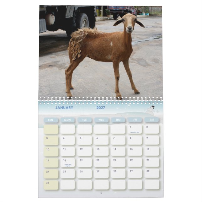 Calendar, Amazon River Calendar (Jan 2027)