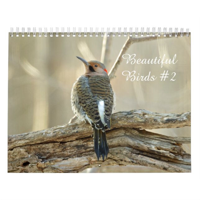 Calendar Beautiful Birds #2 (Cover)