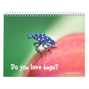 Calendar ~ Do You Love Bugs?