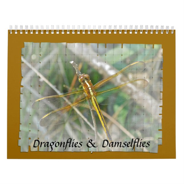 Calendar - Dragonflies & Damselflies (Cover)