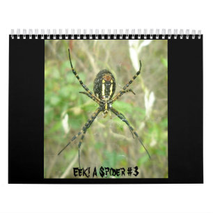 Calendar - Eek! A Spider #3