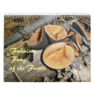 Calendar - Fabulous Fungi Of The Forest