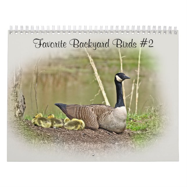 Calendar Favourite Backyard Birds #2 (Cover)