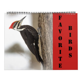 Calendar - Favourite Birds