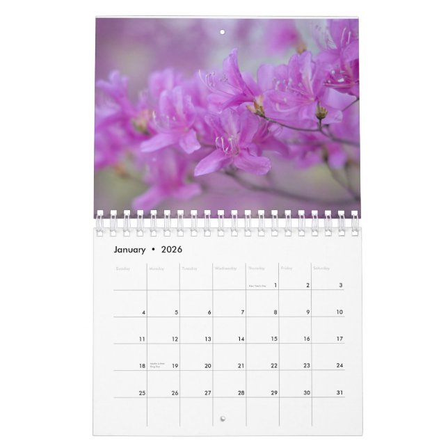 Calendar  flowers (Jan 2026)