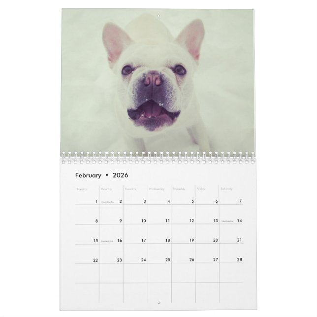 Calendar for 2017 (Feb 2026)