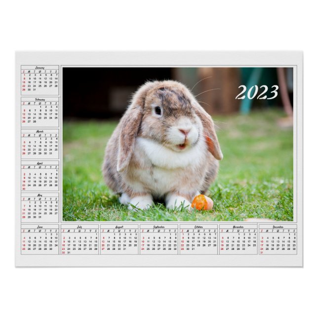 Calendar for 2023 Cute lop-eared rabbit Poster (Front)