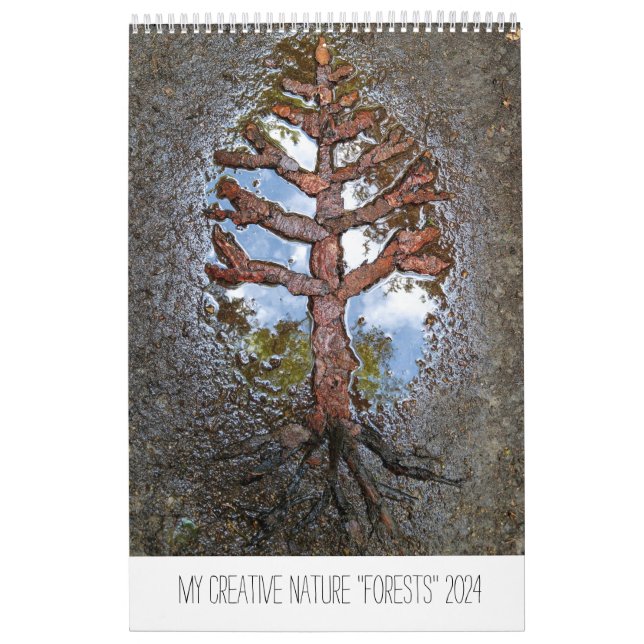 Calendar Forests 2024 trees landart art nature (Cover)