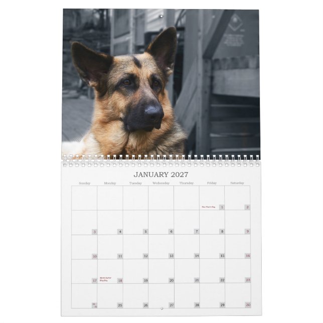 Calendar - German Shepherd (Jan 2027)