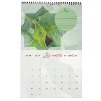 Calendar God meditation garden: star & notes