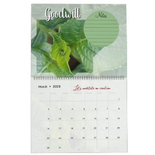 Calendar God meditation: star, words & notes