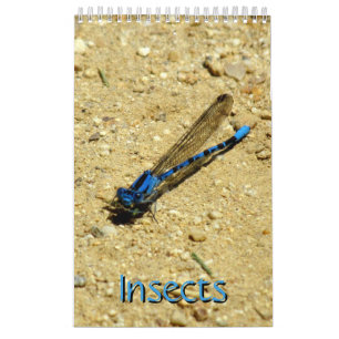 Calendar - Insects vol.2