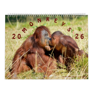 Calendar monkeys 2023