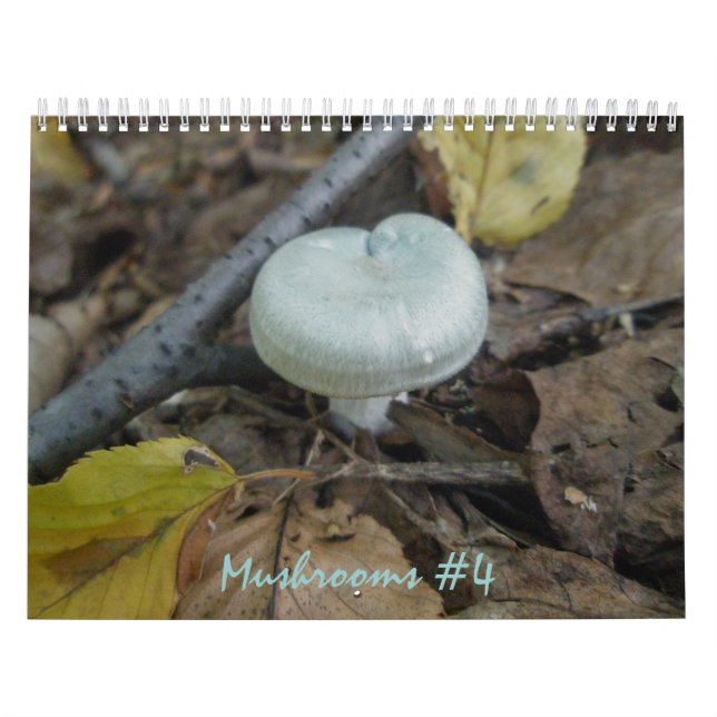 Calendar - More Marvellous Mushrooms #4 (Cover)