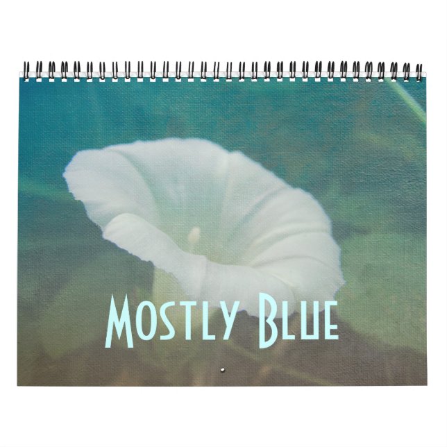 Calendar - Mostly Blue (Cover)