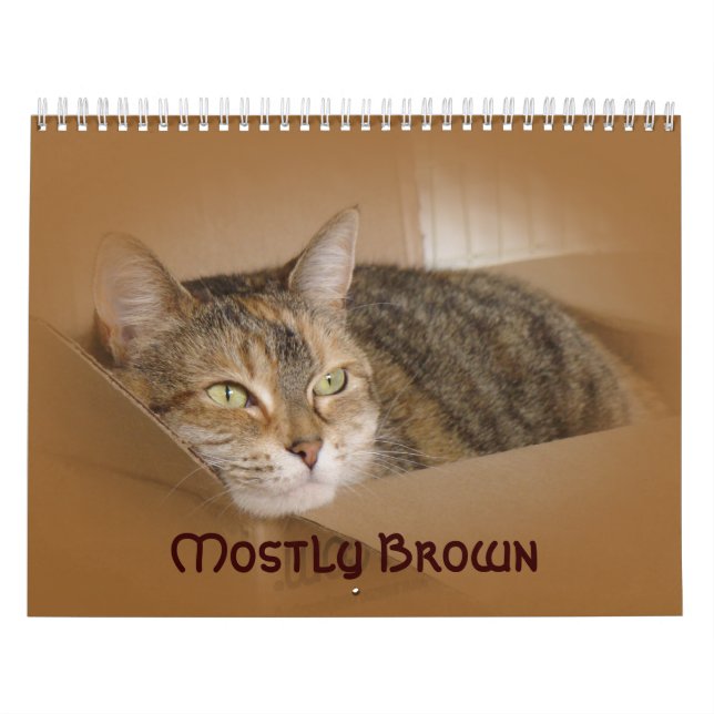 Calendar - Mostly Brown (Cover)