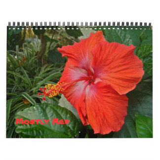 Calendar - Mostly Red