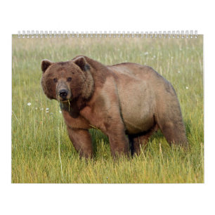 Calendar of Alaska wildlife